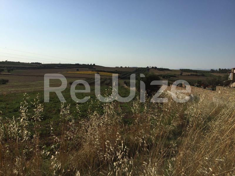 Photo 7,Landscape,SALE,Land,Field,5698sqm,€75,000,Nea Fokaia