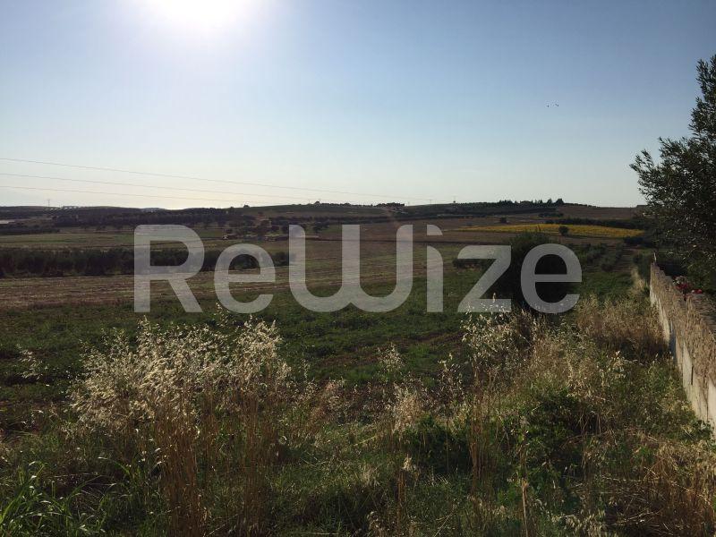 Photo 5,Landscape,SALE,Land,Field,5698sqm,€75,000,Nea Fokaia