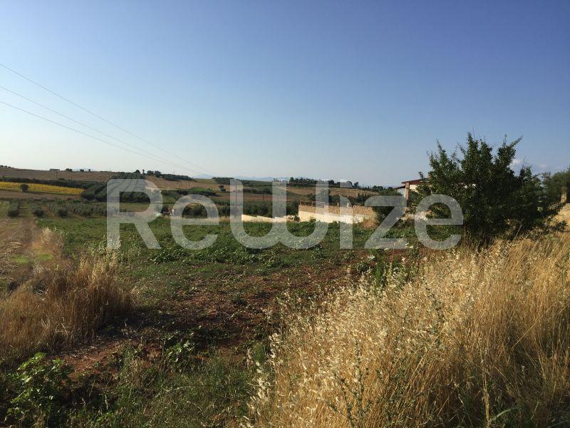 Photo 8,Landscape,SALE,Land,Field,5698sqm,€75,000,Nea Fokaia