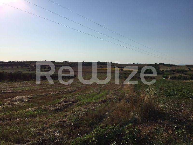 Photo 4,Landscape,SALE,Land,Field,5698sqm,€75,000,Nea Fokaia