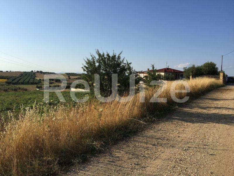 Photo 10,Landscape,SALE,Land,Field,5698sqm,€75,000,Nea Fokaia