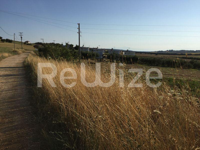 Photo 6,Landscape,SALE,Land,Field,5698sqm,€75,000,Nea Fokaia