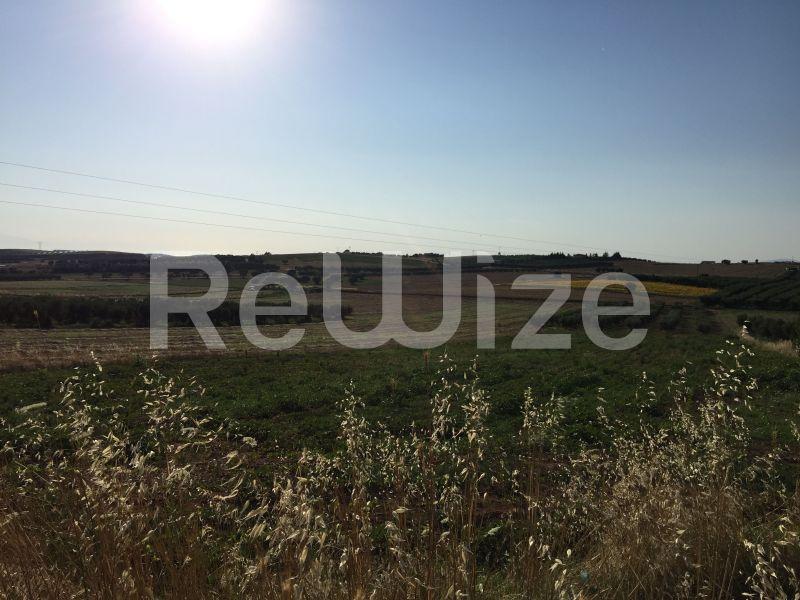 Photo 1,Landscape,SALE,Land,Field,5698sqm,€75,000,Nea Fokaia