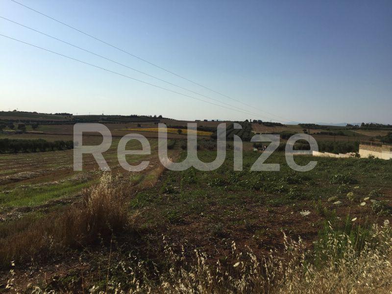 Photo 3,Landscape,SALE,Land,Field,5698sqm,€75,000,Nea Fokaia