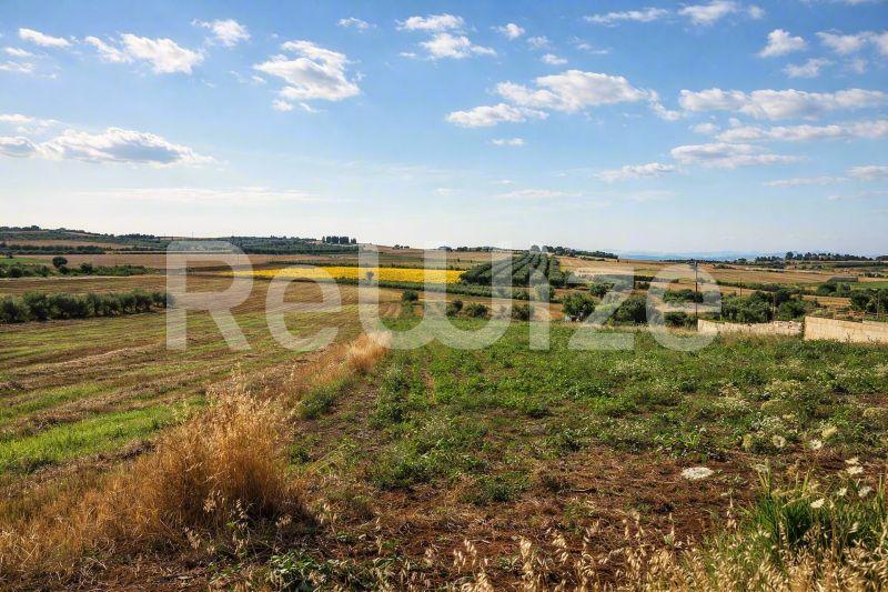 Αγροτεμάχιο 5698 τ.μ. στην Κασσάνδρα, φωτογραφία 2
