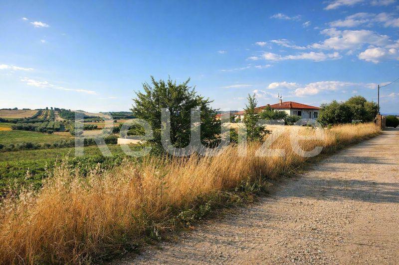 Αγροτεμάχιο 5698 τ.μ. στην Κασσάνδρα, φωτογραφία 1