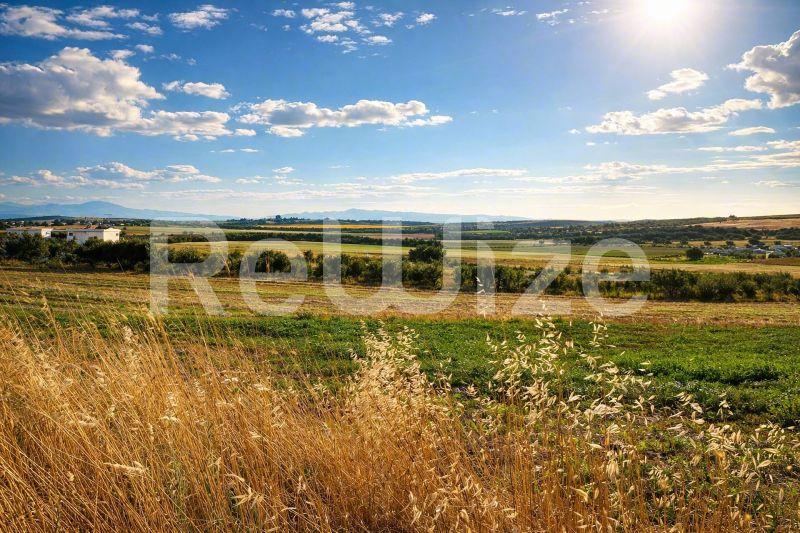 Αγροτεμάχιο 5698 τ.μ. στην Κασσάνδρα, φωτογραφία 4