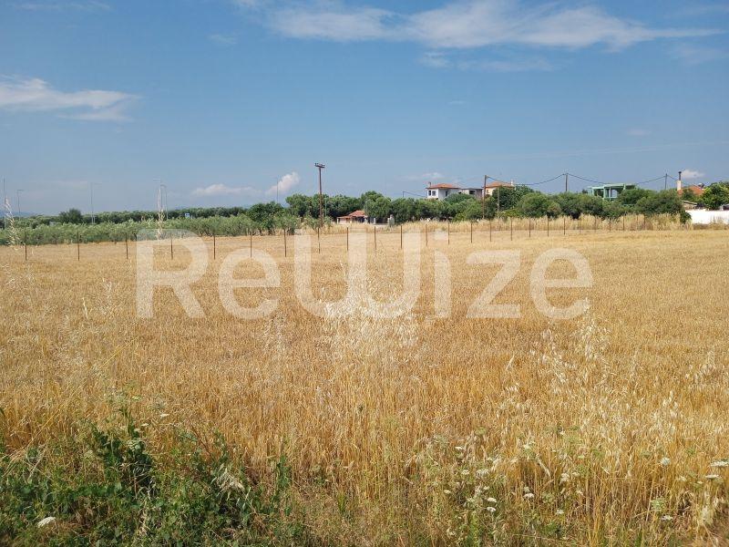 Photo 2,Τοπίο,ΠΏΛΗΣΗ,Γη,Αγροτεμάχιο,3221τ.μ,€90,000,Νέα Ποτίδαια