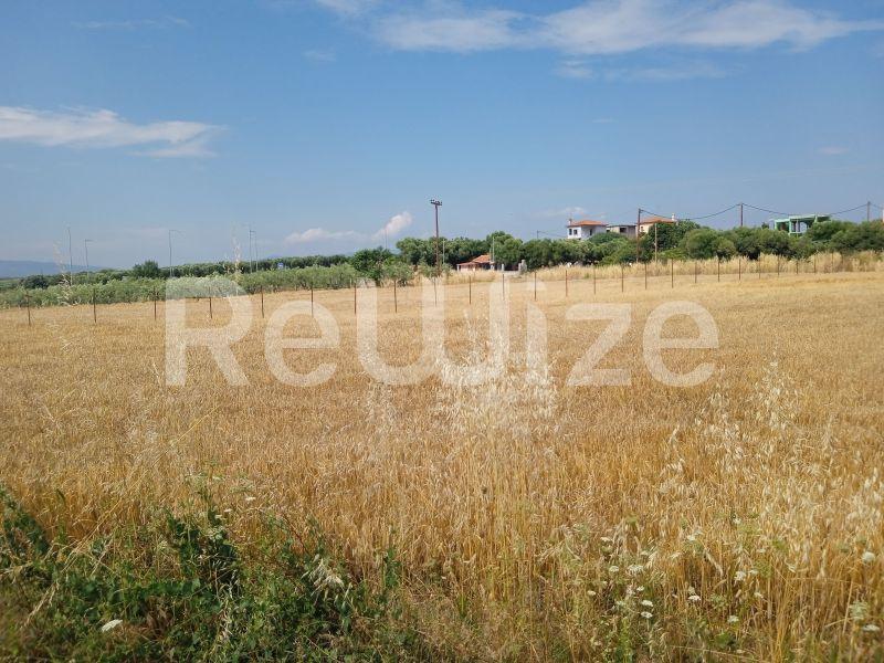 Photo 3,Τοπίο,ΠΏΛΗΣΗ,Γη,Αγροτεμάχιο,3221τ.μ,€90,000,Νέα Ποτίδαια