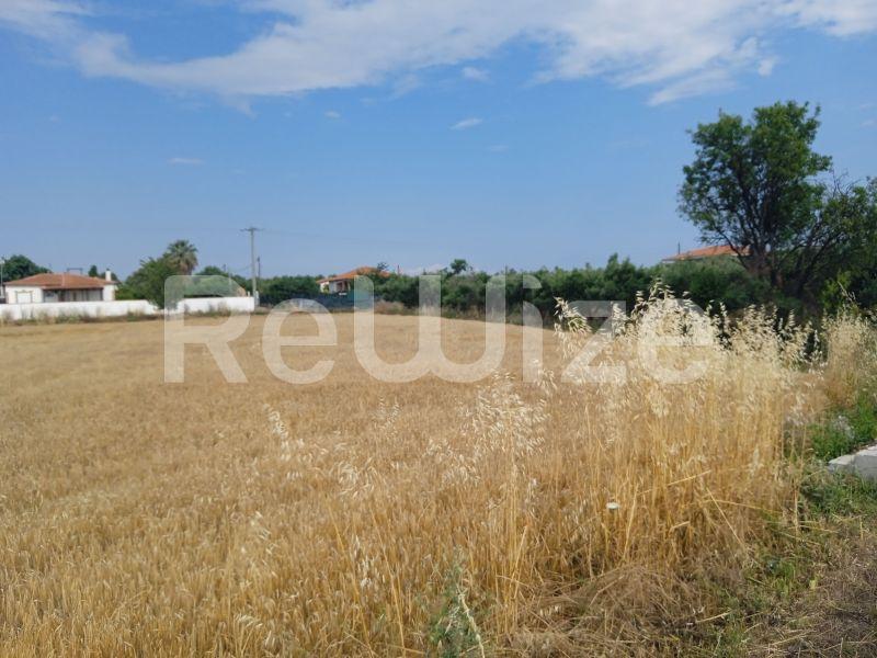 Photo 9,Τοπίο,ΠΏΛΗΣΗ,Γη,Αγροτεμάχιο,3221τ.μ,€90,000,Νέα Ποτίδαια