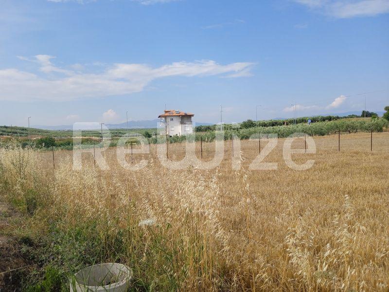 Photo 4,Τοπίο,ΠΏΛΗΣΗ,Γη,Αγροτεμάχιο,3221τ.μ,€90,000,Νέα Ποτίδαια