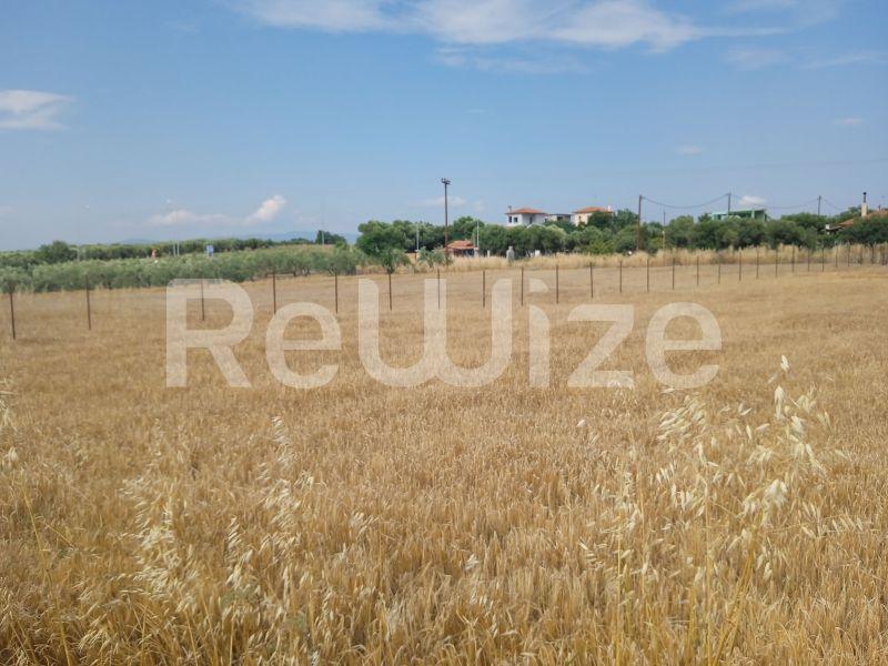 Photo 11,Τοπίο,ΠΏΛΗΣΗ,Γη,Αγροτεμάχιο,3221τ.μ,€90,000,Νέα Ποτίδαια