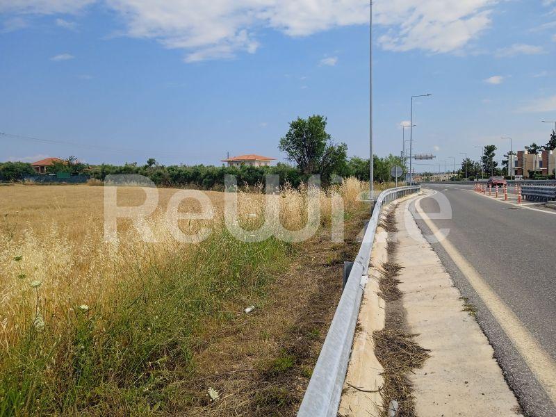 Photo 12,Τοπίο,ΠΏΛΗΣΗ,Γη,Αγροτεμάχιο,3221τ.μ,€90,000,Νέα Ποτίδαια