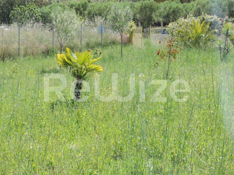 Photo 5,Τοπίο,ΠΏΛΗΣΗ,Γη,Αγροτεμάχιο,3826τ.μ,€87,000,Λαγόμανδρα
