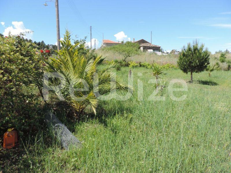 Photo 1,Τοπίο,ΠΏΛΗΣΗ,Γη,Αγροτεμάχιο,3826τ.μ,€87,000,Λαγόμανδρα