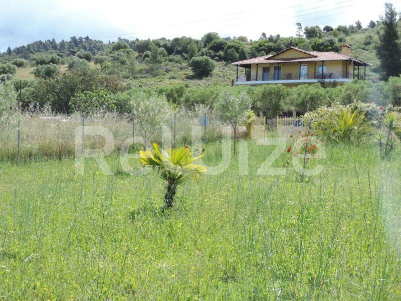 Photo 4,Τοπίο,ΠΏΛΗΣΗ,Γη,Αγροτεμάχιο,3826τ.μ,€87,000,Λαγόμανδρα