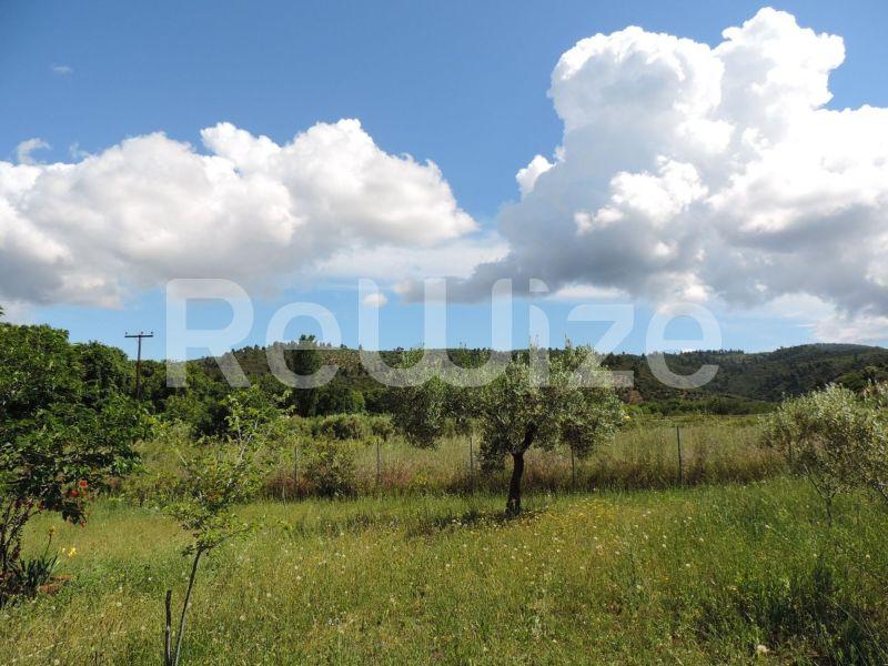 Photo 6,Τοπίο,ΠΏΛΗΣΗ,Γη,Αγροτεμάχιο,3826τ.μ,€87,000,Λαγόμανδρα