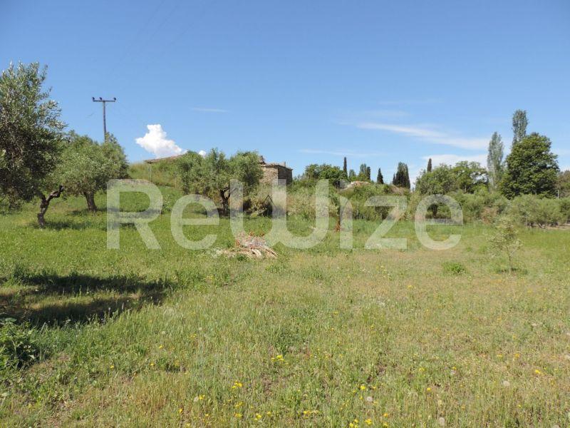Photo 8,Τοπίο,ΠΏΛΗΣΗ,Γη,Αγροτεμάχιο,3826τ.μ,€87,000,Λαγόμανδρα
