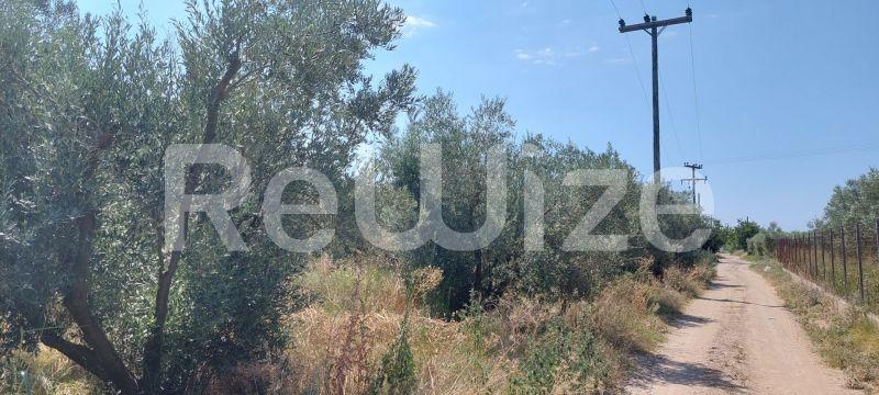 Photo 1,Τοπίο,ΠΏΛΗΣΗ,Γη,Οικόπεδο,302τ.μ,€33,000,Νέα Ηράκλεια