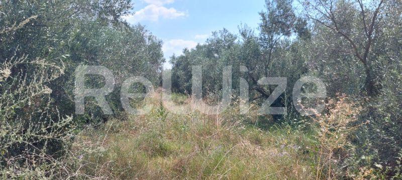 Photo 4,Τοπίο,ΠΏΛΗΣΗ,Γη,Οικόπεδο,302τ.μ,€33,000,Νέα Ηράκλεια