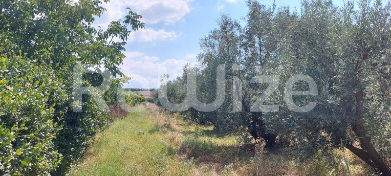 Photo 2,Τοπίο,ΠΏΛΗΣΗ,Γη,Οικόπεδο,302τ.μ,€33,000,Νέα Ηράκλεια