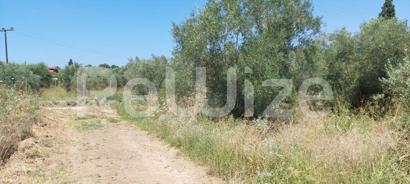 Photo 7,Τοπίο,ΠΏΛΗΣΗ,Γη,Οικόπεδο,302τ.μ,€33,000,Νέα Ηράκλεια