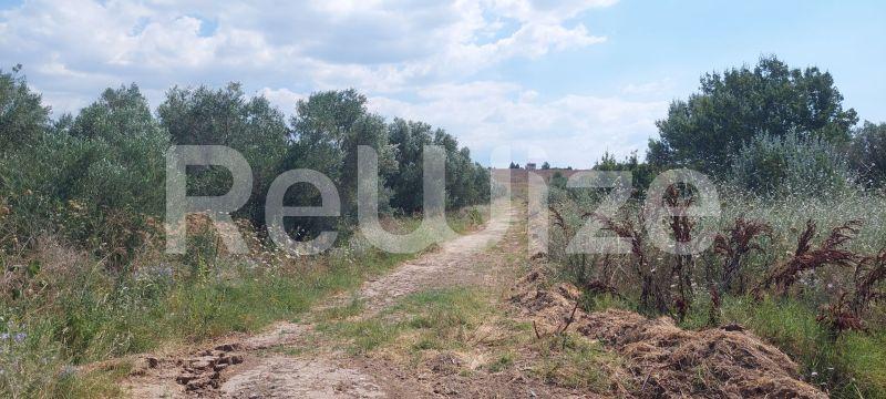 Photo 1,Τοπίο,ΠΏΛΗΣΗ,Γη,Οικόπεδο,502τ.μ,€40,000,Νέα Ηράκλεια