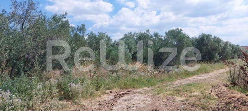 Photo 5,Τοπίο,ΠΏΛΗΣΗ,Γη,Οικόπεδο,502τ.μ,€40,000,Νέα Ηράκλεια