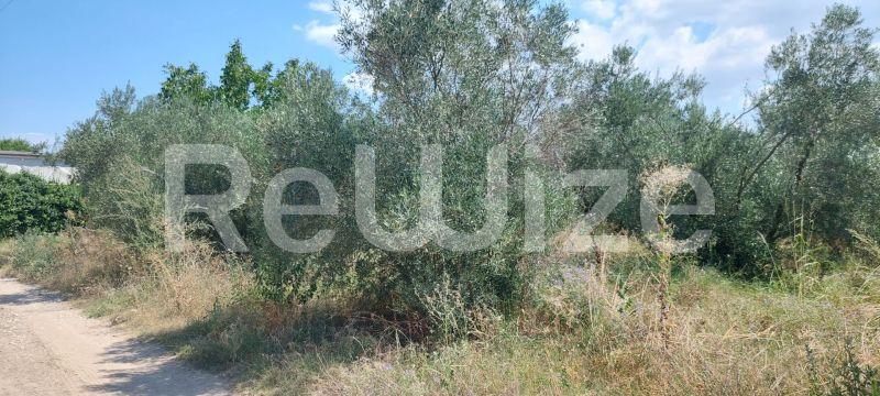 Photo 3,Τοπίο,ΠΏΛΗΣΗ,Γη,Οικόπεδο,502τ.μ,€40,000,Νέα Ηράκλεια