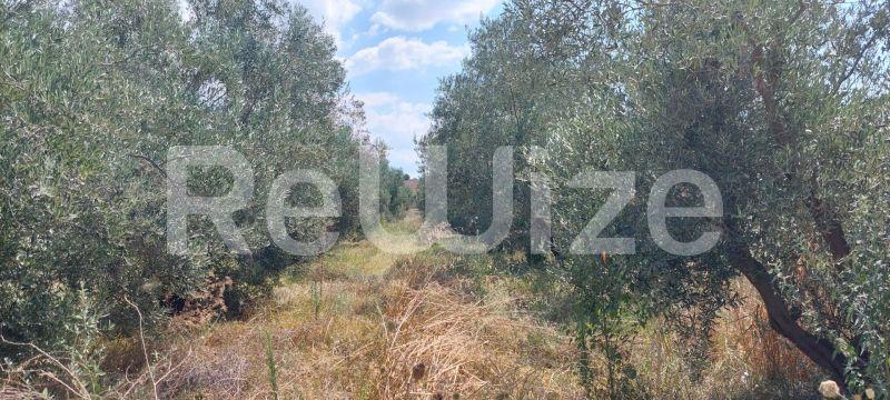 Photo 2,Τοπίο,ΠΏΛΗΣΗ,Γη,Οικόπεδο,293τ.μ,€30,000,Νέα Ηράκλεια