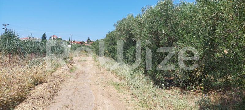 Photo 7,Τοπίο,ΠΏΛΗΣΗ,Γη,Οικόπεδο,293τ.μ,€30,000,Νέα Ηράκλεια