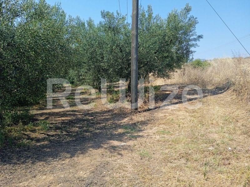 Photo 4,Landscape,SALE,Land,Field,2074sqm,€85,000,Agios Mamas