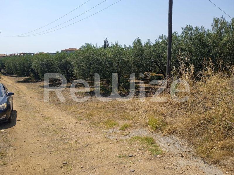 Photo 8,Landscape,SALE,Land,Field,2074sqm,€85,000,Agios Mamas