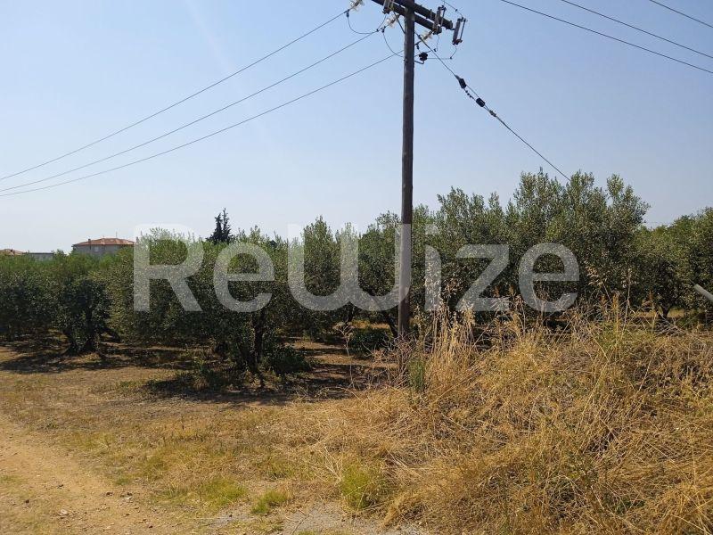 Photo 5,Landscape,SALE,Land,Field,2074sqm,€85,000,Agios Mamas