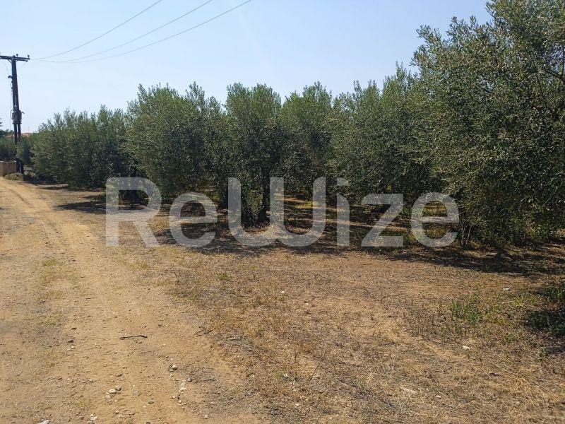 Photo 1,Landscape,SALE,Land,Field,2074sqm,€85,000,Agios Mamas