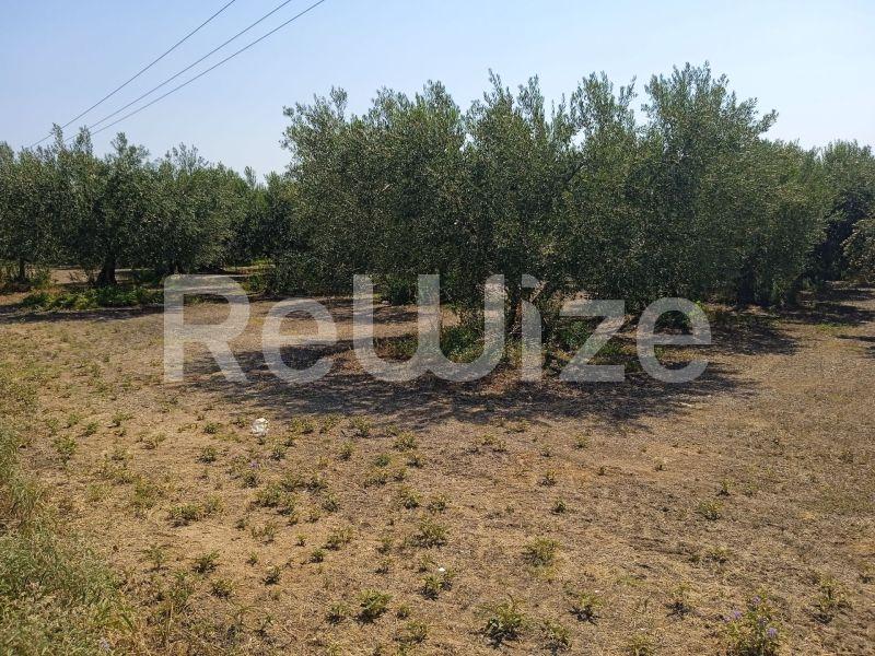 Photo 11,Landscape,SALE,Land,Field,2074sqm,€85,000,Agios Mamas