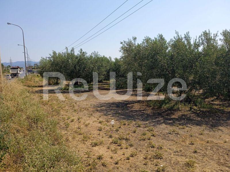 Photo 10,Landscape,SALE,Land,Field,2074sqm,€85,000,Agios Mamas