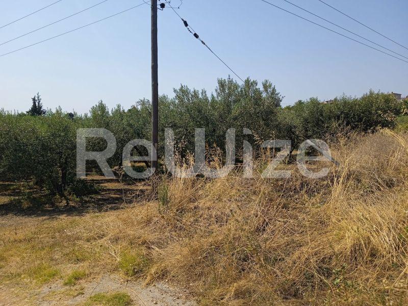 Photo 7,Landscape,SALE,Land,Field,2074sqm,€85,000,Agios Mamas