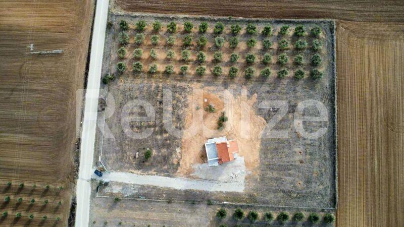 Εναέρια άποψη μιας μονοκατοικίας με γύρω γη και ελιές στη Χαλκιδική.