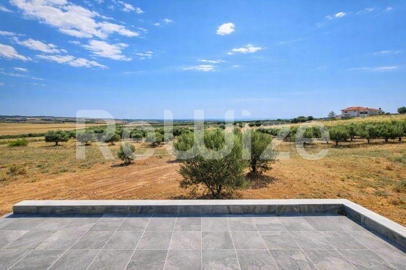 Πανοραμική θέα από μονοκατοικία στη Χαλκιδική με θέα σε ελαιώνες και αγροτική περιοχή.