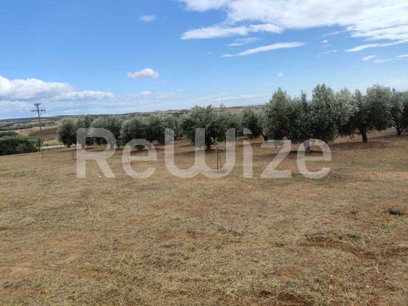 Photo 11,Εξωτερική,ΠΏΛΗΣΗ,Κατοικία,Μονοκατοικία,220τ.μ,€340,000,Νέα Σίλατα