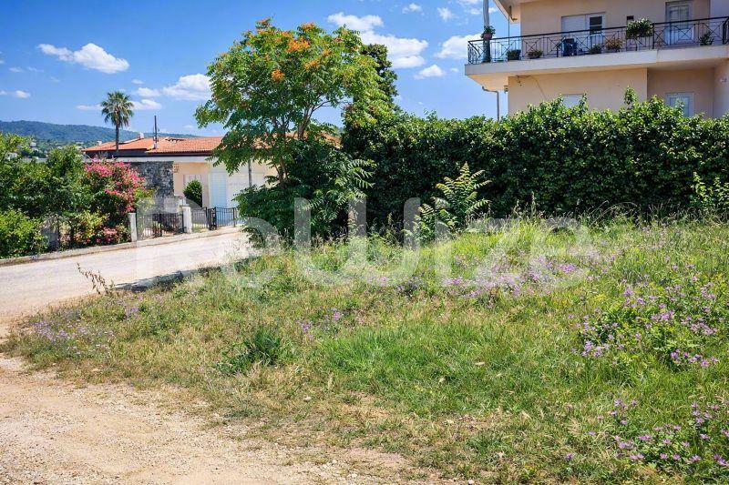 Οικόπεδο στη Χαλκιδική με πράσινη βλάστηση, περιτριγυρισμένο από κατοικίες και θέα στα βουνά.