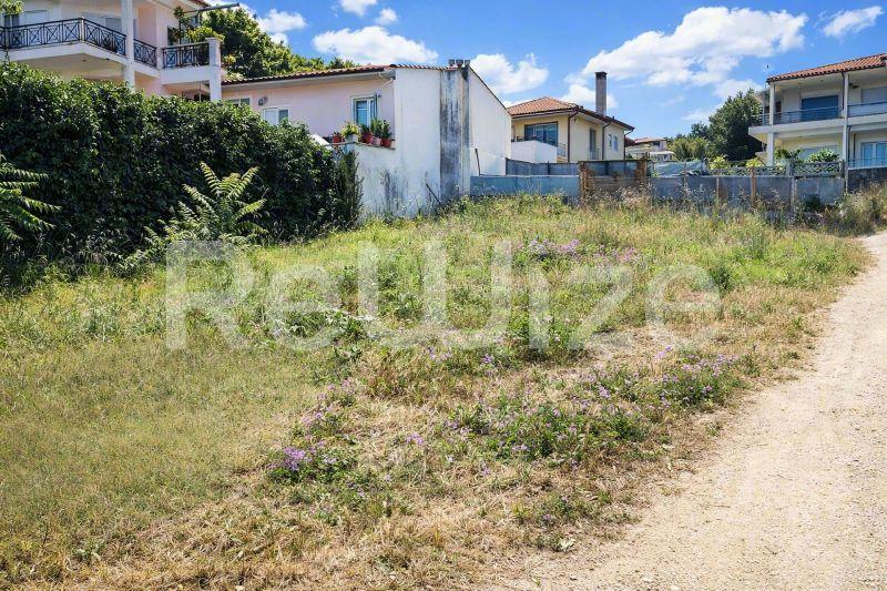 Ακάλυπτο οικόπεδο στη Χαλκιδική με αυτοφυή βλάστηση, ιδανικό για κατασκευή στην Ελλάδα.