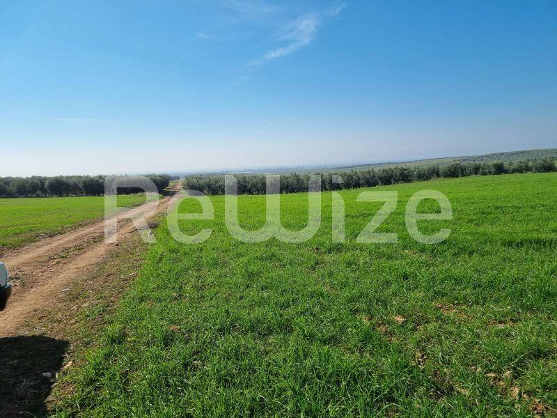 Photo 5,Τοπίο,ΠΏΛΗΣΗ,Γη,Αγροτεμάχιο,20000τ.μ,€60,000,Νέα Τρίγλια