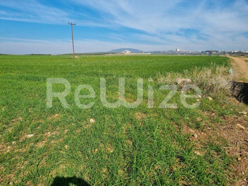 Photo 8,Τοπίο,ΠΏΛΗΣΗ,Γη,Αγροτεμάχιο,20000τ.μ,€60,000,Νέα Τρίγλια