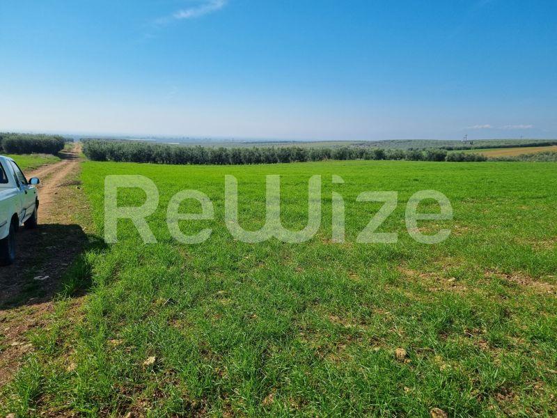 Photo 6,Τοπίο,ΠΏΛΗΣΗ,Γη,Αγροτεμάχιο,20000τ.μ,€60,000,Νέα Τρίγλια