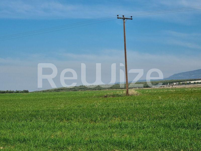 Photo 7,Τοπίο,ΠΏΛΗΣΗ,Γη,Αγροτεμάχιο,20000τ.μ,€60,000,Νέα Τρίγλια