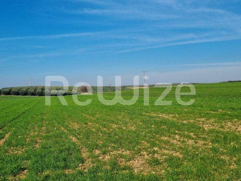 Photo 2,Τοπίο,ΠΏΛΗΣΗ,Γη,Αγροτεμάχιο,20000τ.μ,€60,000,Νέα Τρίγλια