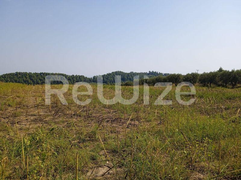 Photo 2,Τοπίο,ΠΏΛΗΣΗ,Γη,Αγροτεμάχιο,10000τ.μ,€160,000,Κρυοπηγή