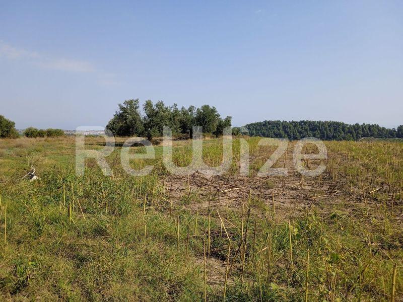 Photo 1,Τοπίο,ΠΏΛΗΣΗ,Γη,Αγροτεμάχιο,10000τ.μ,€160,000,Κρυοπηγή